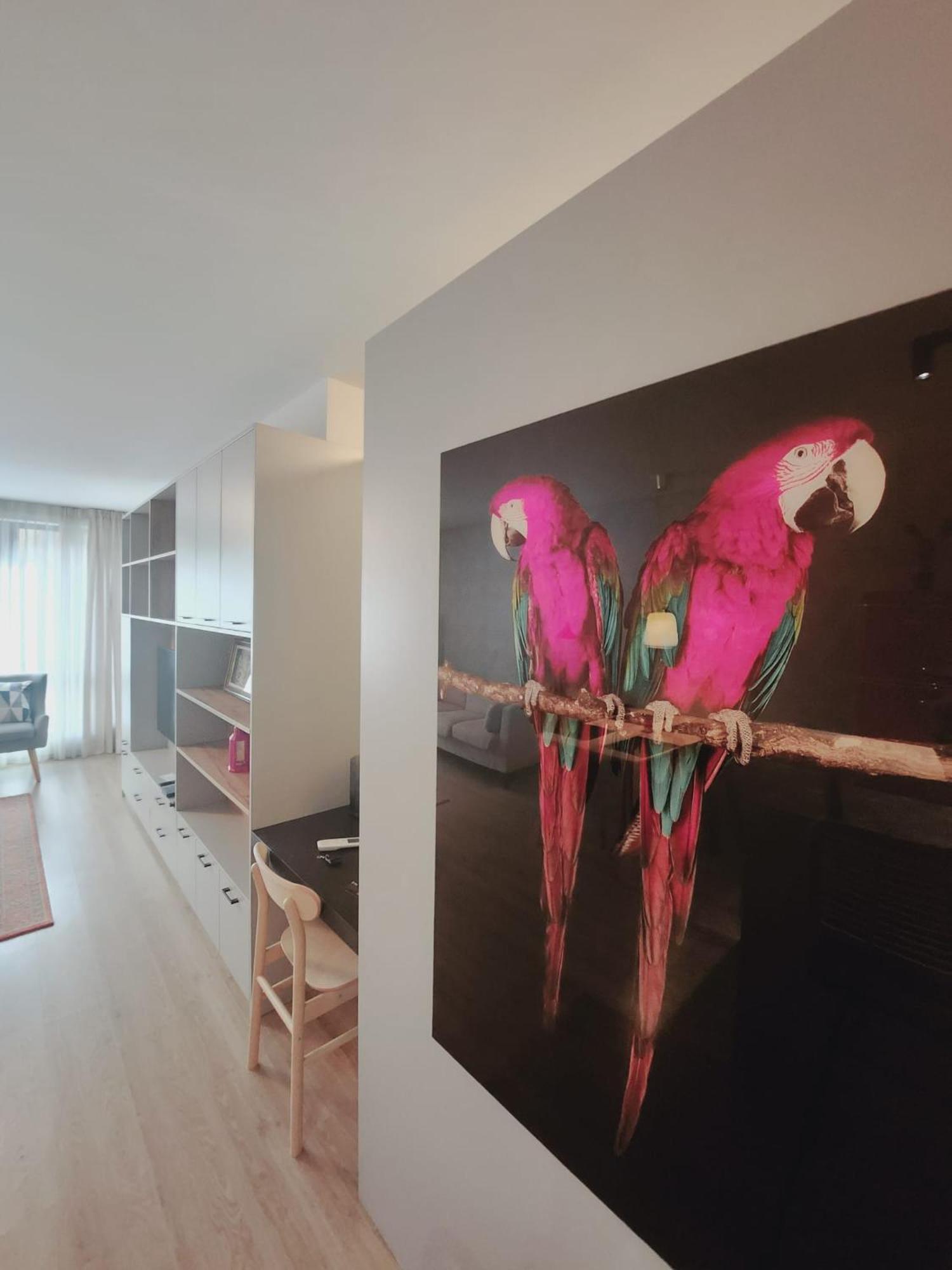 סופיה Miami A Lovely City Center 2 Bedrooms Apartment With Private Parking מראה חיצוני תמונה